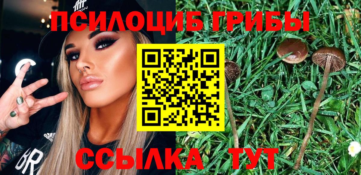 Псилоцибиновые грибы ЛСД Урюпинск