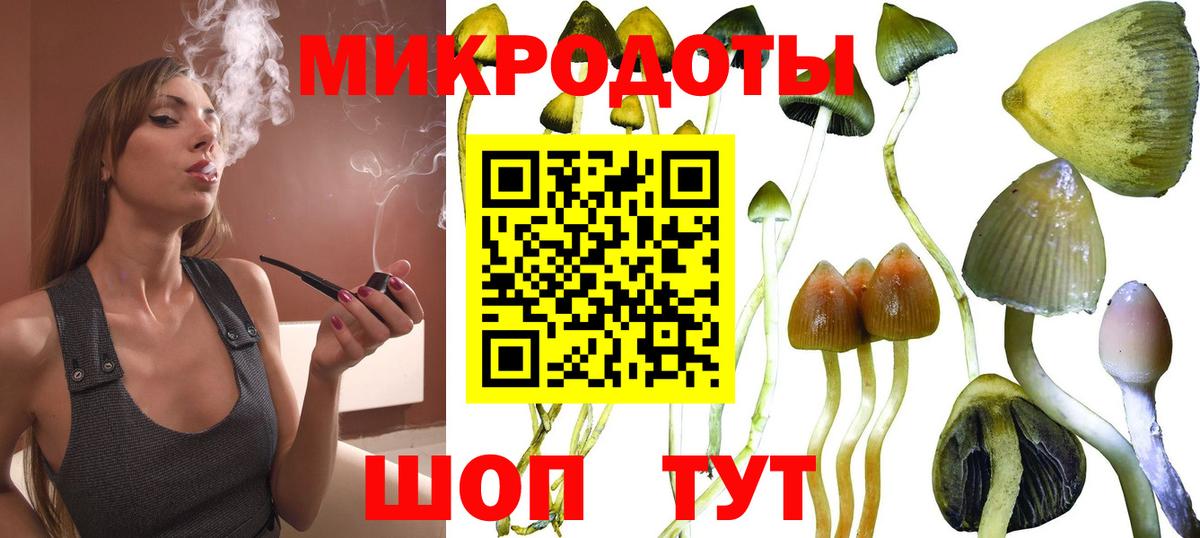 Псилоцибиновые грибы Cubensis  Псилоцибиновые грибы мицелий  наркотики  Вход с VPN  Урюпинск 